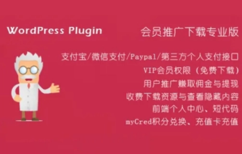 WordPress 各种VIP培训系列教材打包下载