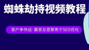 利用软件黑帽SEO蜘蛛劫持暴力引流，适合操作任何产品