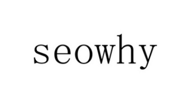 SeoWhy培训教程（课堂YY录音+PPT）