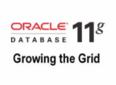 -oracle_11gR2视频教程【共15课时】