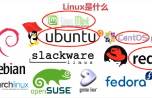 小飞侠网络实训营-Linux的世界我也懂系列课程第一部分 Linux运维基础实战学习