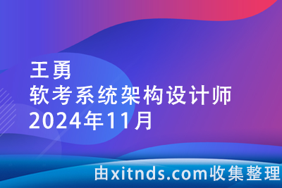 王勇软考系统架构设计师2024年11月