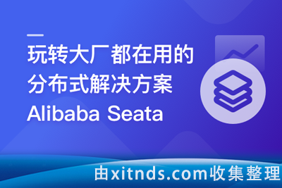 慕课网716-一课学透 分布式事务框架 Alibaba Seata【完结无密】